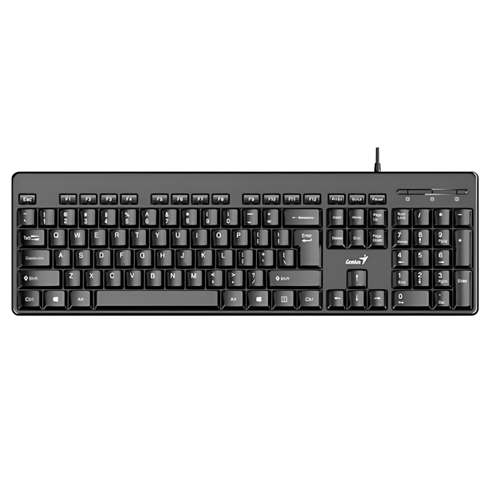 TECLADO KB-116 GENIUS USB